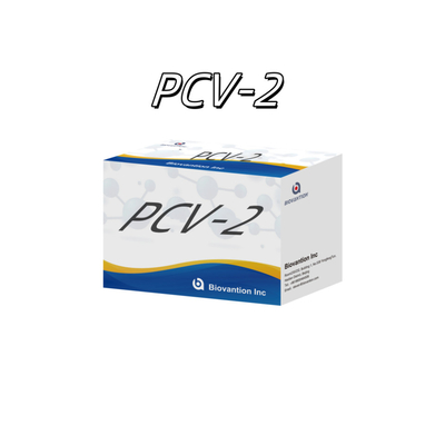 WB/S/P PCV-2 エリザ試験 動物抗体獣医用反応剤
