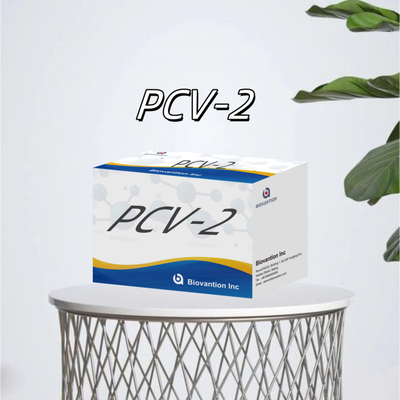 WB/S/P PCV-2 エリザ試験 動物抗体獣医用反応剤