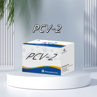 WB/S/P PCV-2 エリザ試験 動物抗体獣医用反応剤