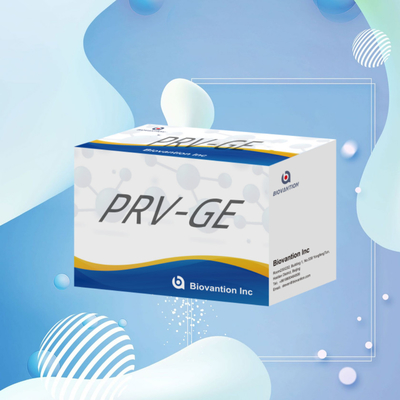 動物検知用試料PRV-GE抗体ELISAキットの検知キット