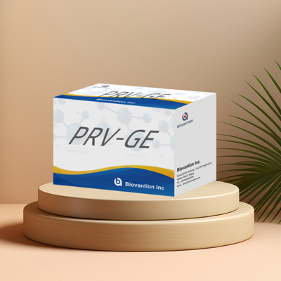 動物検知用試料PRV-GE抗体ELISAキットの検知キット