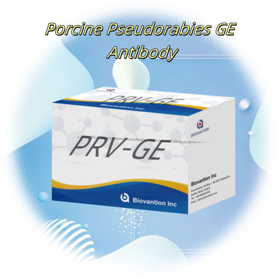 動物検知用試料PRV-GE抗体ELISAキットの検知キット