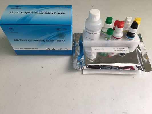 COVID-19 IgG ELISA テストキット 形式 キット 酵素関連免疫吸収検査