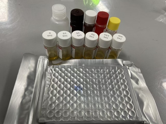 ラット Bcl-2 血清 方法 ELISA サンプルタイプ 血清 ELISA RUO テスト キット 98% 特定度