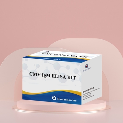 バイオバンション CMV 18ヶ月 保存期間 IVD ELISA 血清プラズマ検査キット