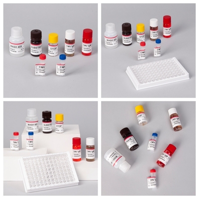 バイオバンション CMV 18ヶ月 保存期間 IVD ELISA 血清プラズマ検査キット