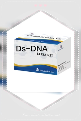 Anti Ds-DNA IgG ELISA テストキット 定性的な Anti Double Stranded DNA 抗体