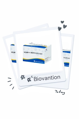 VCAM-1 RUO Elisa Kit 人体血管内皮細胞粘着分子 1