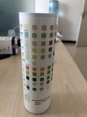 尿を分析する 試験用ストリップ 乾燥化学方法 尿-H-11 尿-H-10 尿-H-8