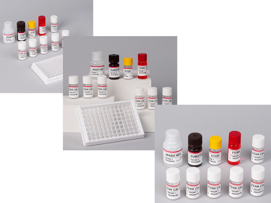 研究室または病院 高精度ヒトフェリチン FE ELISA テストキット