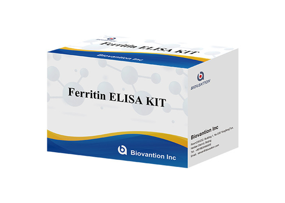 研究室または病院 高精度ヒトフェリチン FE ELISA テストキット