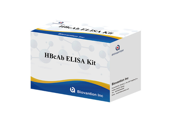 ホットセール 診断用反応剤 96 テスト Hbc 抗体 HBcAb Elisa キット
