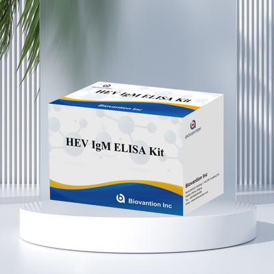 正確で敏感なエリサ検査キット HEV-IgM 診断と分析