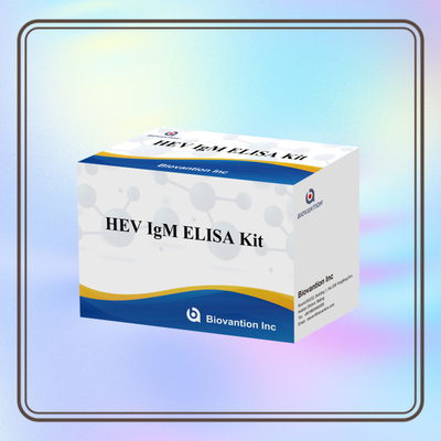 正確で敏感なエリサ検査キット HEV-IgM 診断と分析