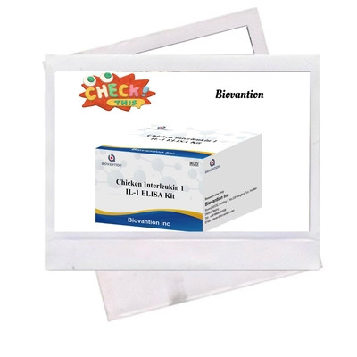 IL 1 ELISA テストキット ヒト血清と血清のインターレウキン-1 免疫検査