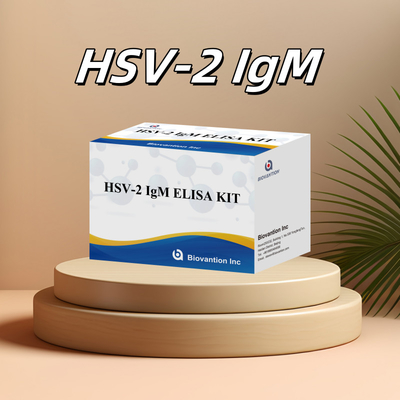 高特異性エリサ検査キット HSV-2 IgM 迅速かつ正確な結果のためのヒト用医療用試薬