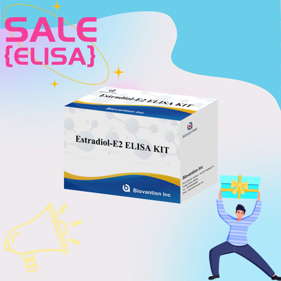 工場価格 E2 ELISA 検査キット インビトロ検出 医療検出 高精度