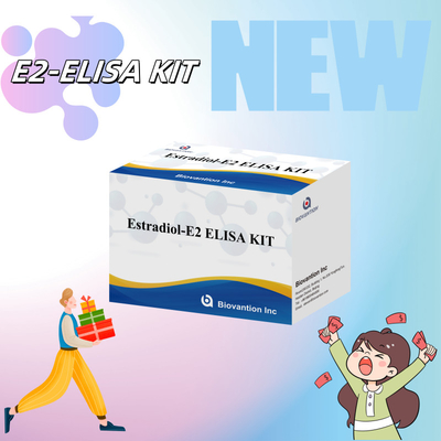 工場価格 E2 ELISA 検査キット インビトロ検出 医療検出 高精度