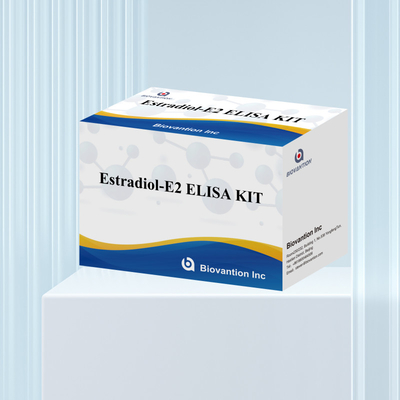 工場価格 E2 ELISA 検査キット インビトロ検出 医療検出 高精度