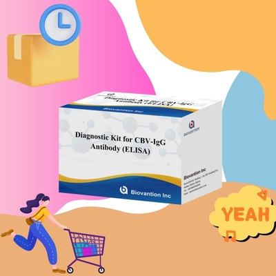 高特異性CBV-IgG抗体 ヒト検出 Elisaキット 標的解析体の正確な検出