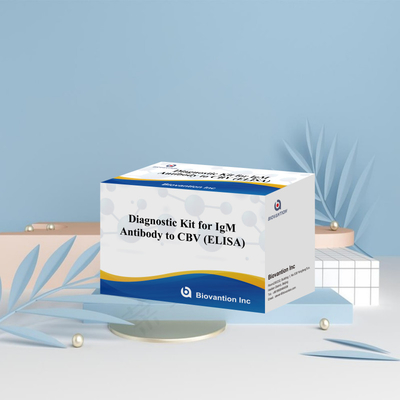 CBV igm ELISA KIT D 診断試料 18ヶ月 保存期間 酵素関連免疫吸収性検査