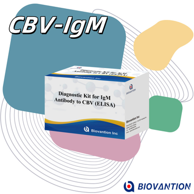 CBV igm ELISA KIT D 診断試料 18ヶ月 保存期間 酵素関連免疫吸収性検査