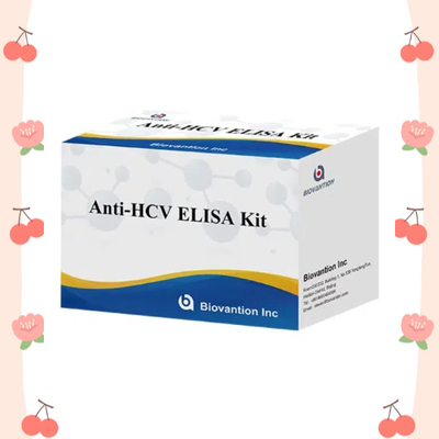 肝炎 C ウイルス に 対する 抗 HCV 抗体 酵素 関連 輸送 時間 短