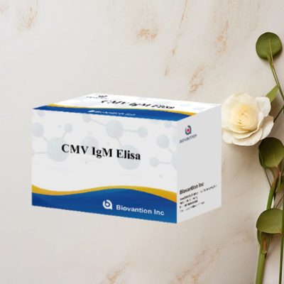 CMV IgM ELISA キット 高精度 妊婦 予防検査