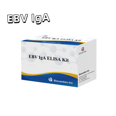 EBV HUMAN ELISA 検査キット 2-8°C 感度診断キット EBV-EAに対する IgA 抗体