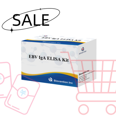 EBV HUMAN ELISA 検査キット 2-8°C 感度診断キット EBV-EAに対する IgA 抗体