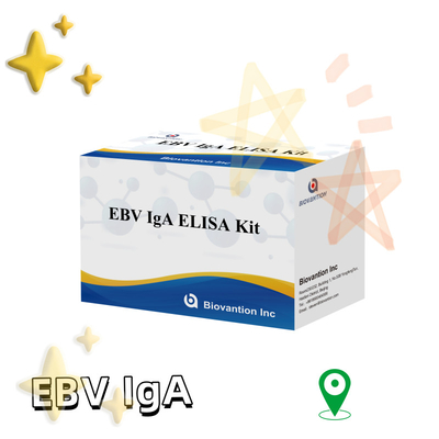 EBV HUMAN ELISA 検査キット 2-8°C 感度診断キット EBV-EAに対する IgA 抗体