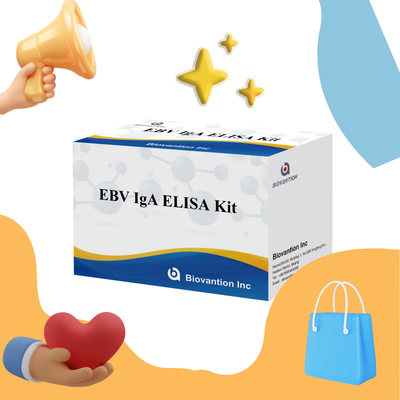 EBV HUMAN ELISA 検査キット 2-8°C 感度診断キット EBV-EAに対する IgA 抗体