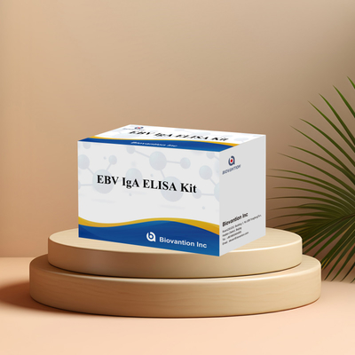 EBV HUMAN ELISA 検査キット 2-8°C 感度診断キット EBV-EAに対する IgA 抗体