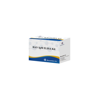 HAV IgM ELISA テストキット 人体診断反応体