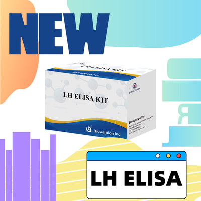 敏感なLH ELISA検査キット 早期発見の診断