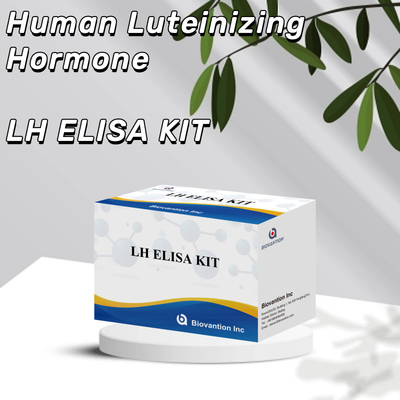 敏感なLH ELISA検査キット 早期発見の診断