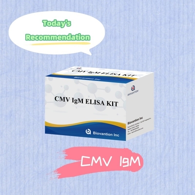 細胞メガロウイルス抗体検知のためのバイオバンション高感度CMVELISA反応器キット IgG/IgM検査