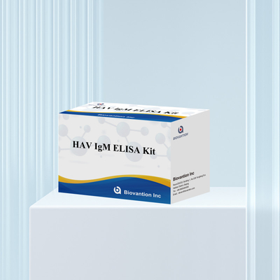 HAV IgM ELISA キット 高感度 A型肝炎 ウイルス検出 臨床実験室用の信頼性のある正確な診断検査