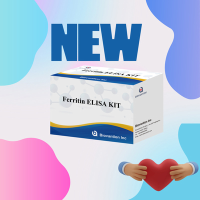 バイオバンション 高感度 フェリチン エリサ テスト キット 臨床診断および研究用量検定 人間の血清プラズマサンプルを使用する