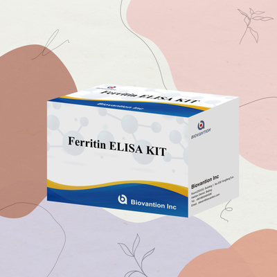 バイオバンション 高感度 フェリチン エリサ テスト キット 臨床診断および研究用量検定 人間の血清プラズマサンプルを使用する