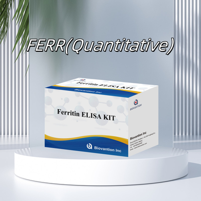 バイオバンション 高感度 フェリチン エリサ テスト キット 臨床診断および研究用量検定 人間の血清プラズマサンプルを使用する
