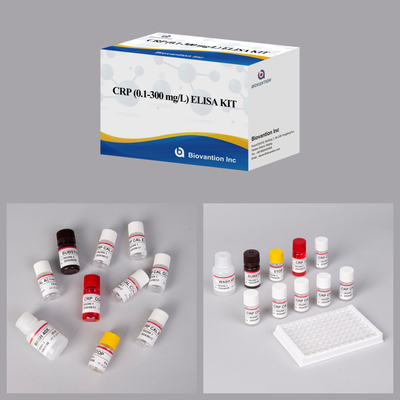 精度 CRP 0.1-300 Mg/L エリサ テスト キット 生物学的物質の敏感検出