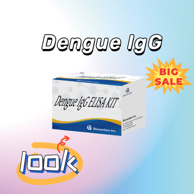 高性能デングイ IgG エリサ検査キット 敏感で特異的な結果