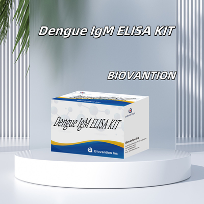 臨床環境での正確な診断とモニタリングのための革新的なデング IgM ELISA検査キット