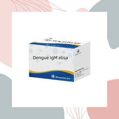 デング熱 IgM ELISA イン・ビトロ診断用デング熱ウイルス感染