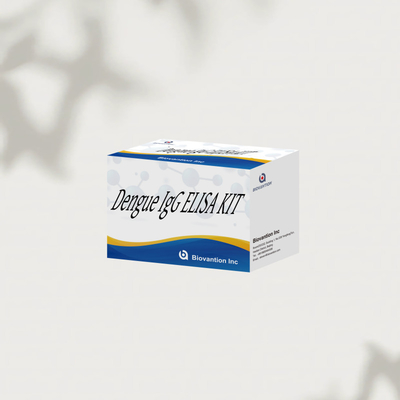 高性能デングイ IgG ELISA Kit 96 検査 敏感で正確な結果