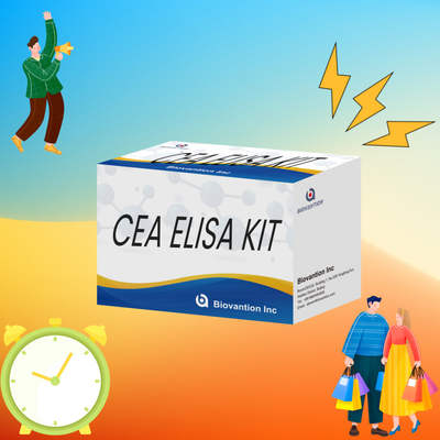 高性能 CEA 定量 ELISA 試験キット 研究および臨床用