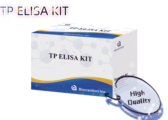 特定研究要件のためのSyp TP Elisaテストキット