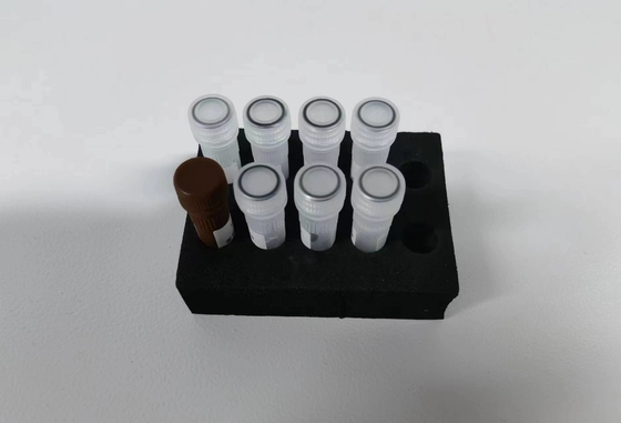 チクングニア リアルタイムRT-PCRキット 使用説明 48TESTS/KIT