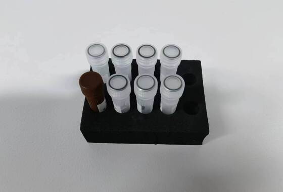 デング熱PCR検査 高品質 48テスト